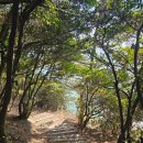 발자국 | 낭도둘레길 1코스에서 공룡발자국 본 후기