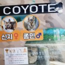 대전 아쿠아리움 후기