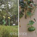 화순전통시장 이미지