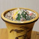 리둔 이미지