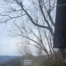 소로3-낭월07 | [백패킹]상소오토캠핑장- 대중교통백보킹, 벚꽃캠핑, 예약사이트, 봄캠핑, E구역 후기