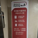 케렌시아 솔 이미지