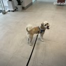 남산연합동물병원 이미지