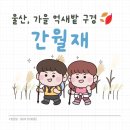 천천농장 | [울산 억새밭] 간월재_24년10월26일 방문후기, 10월말 억새현황, 코스추천, 사슴농장코스, 간월재 주차장