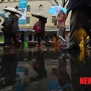 명동거리 이미지