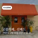 대진초등학교 | 화진포 핫플, 고성 카페 추천! 선베드(SUNBED) 후기