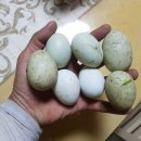 성근농장 이미지