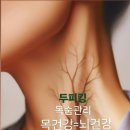 킹건강관리