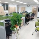 도시철도 배산역 5번출구 이미지