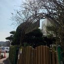 오금현대아파트상가 | 방이역·오금역 | 오금현대·방이대림·오금대림 재건축 아파트 임장 후기