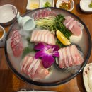 인천시청 | 인천시청 맛집 만사형통산오징어 인천시청점 특대방어 후기