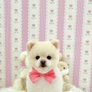 아멍띠에 이미지