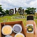 5883 | 경주 황리단길디저트 마치 치즈케이크 맛집 벨지안초콜릿부터 복숭아 치즈케이크 후기