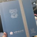 인성유치원 | 내 생애 최애 유치원 | 김해 아람나무 유치원 후기
