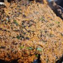 왕소금생삼겹살갈매기 이미지