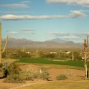 초록실내골프연습장 이미지