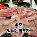 (영은교회 앞) 횡단보도 | 속초 회맛집, 대방어, 광어+우럭! 막써는회포차 가성비 후기