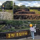 동부태권도 | [제주도 동부 여행코스] 여행지와 맛집, 카페 / 초등학생 아이와 가족여행