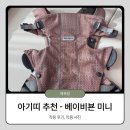 [내돈내산] 신생아 외출 필수템, 베이비뵨 미니 메쉬 5개월 사용 후기