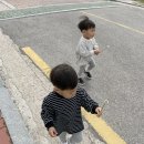 할매집젓갈 이미지