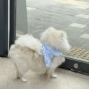 뭉부띠끄 - 시흥시 은계호수로 49 | 뭉부띠끄