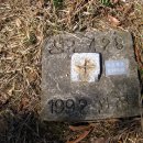 연정1리 이미지