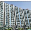 산호대로21길 이미지