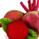 진가식품 이미지