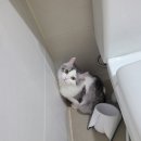 신항동물병원 이미지