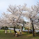 대구광역시청 산격청사 이미지