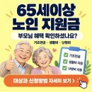 65세이상 노인 지원금(65세이상 정부 지원금) 이미지