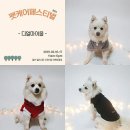 펫츄(PETCHOO) 네이버블로그