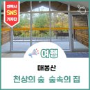 매봉산2 | [여행]태백 매봉산 천상의 숲 숲속의 집 201호 숙박 후기