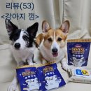 라임덴탈 | (강아지 덴탈껌 추천)오아이오 덴탈껌 급여 후기