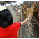 정우목장 이미지