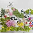 효곡동 그린숲 작은도서관 | 남양주구리원주 태장도서관 독서원예 수업 후기, 『배려 토끼 이야기』 감성 체험