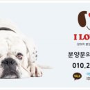 아이러브펫 동물병원 이미지