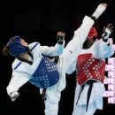 금빛태권도 이미지