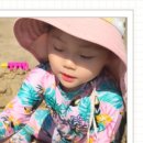 설리와카라반펜션 이미지