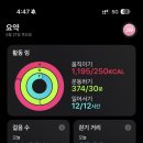헤리스 - 진천군 | 헤리스