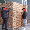 지민4 이미지