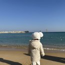 일성생선구이 이미지