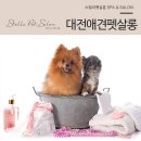 넘버원 펫살롱 이미지