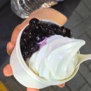 설레다밀크