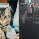 3층의 피씨방 이미지