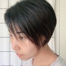 Tina헤어