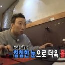 냥고스틴