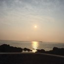 천금목장 네이버블로그