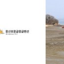 몽산포몽글몽글 이미지