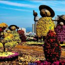 마산&#34;국화축제&#34; 이미지